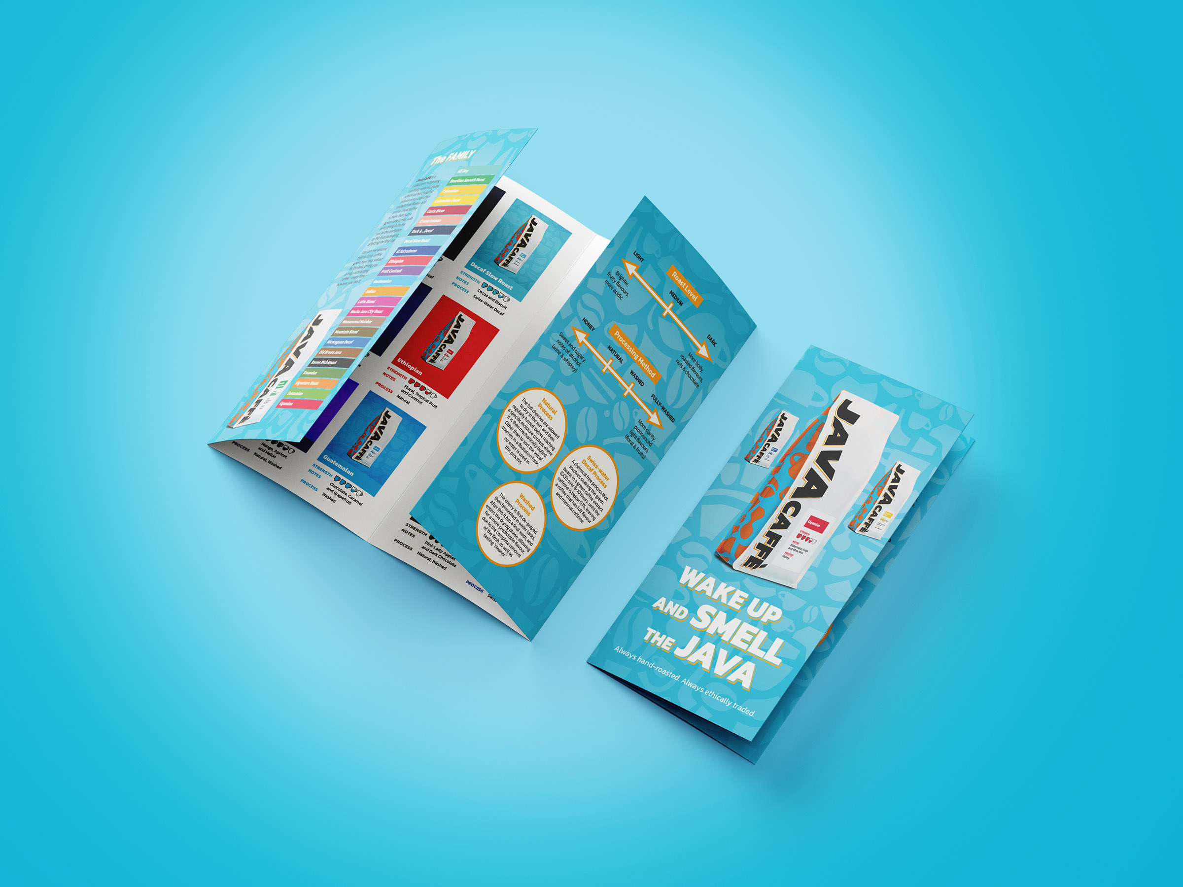 Double Gatefold DL Brochure