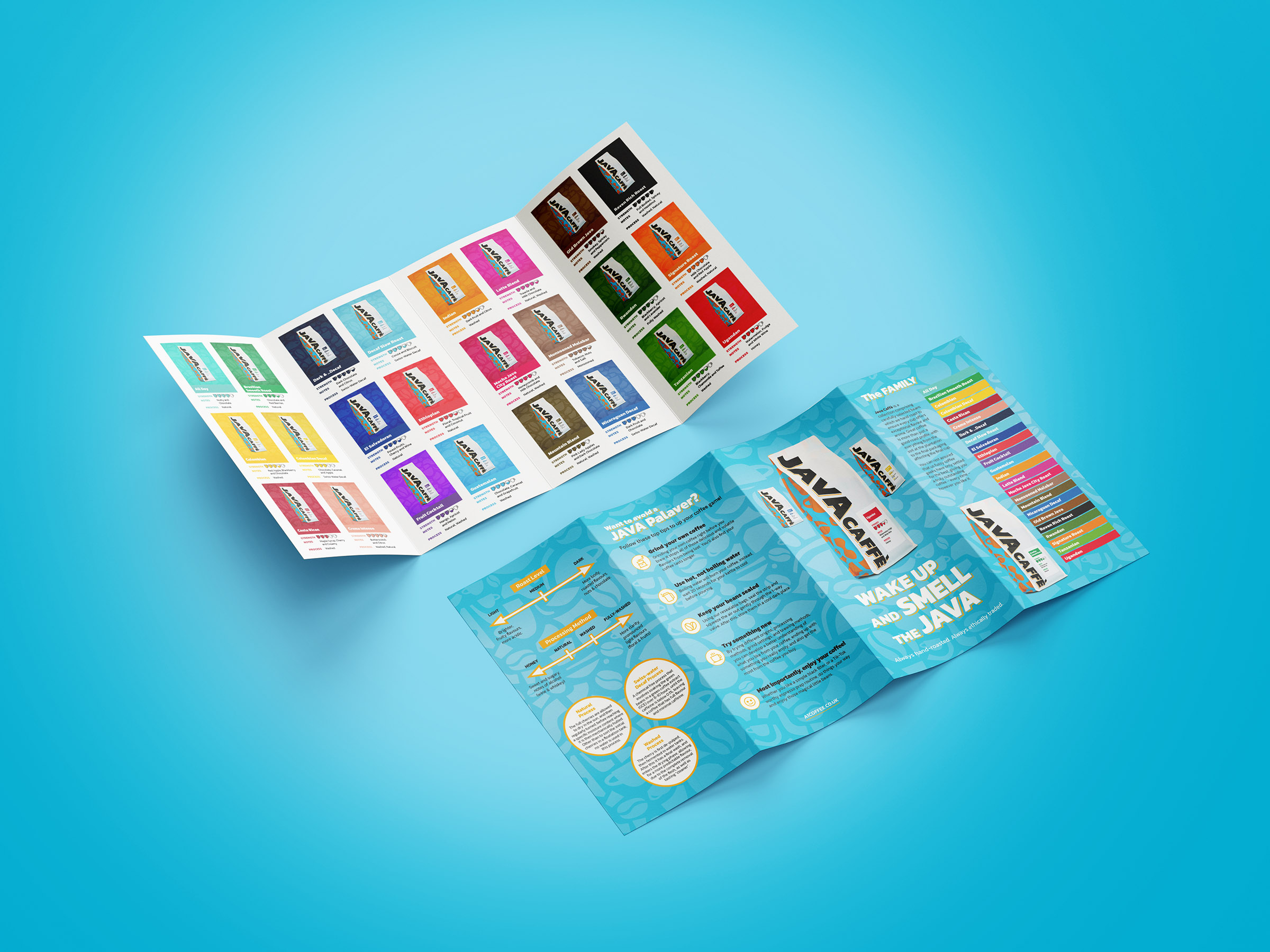 Double Gatefold DL Brochure