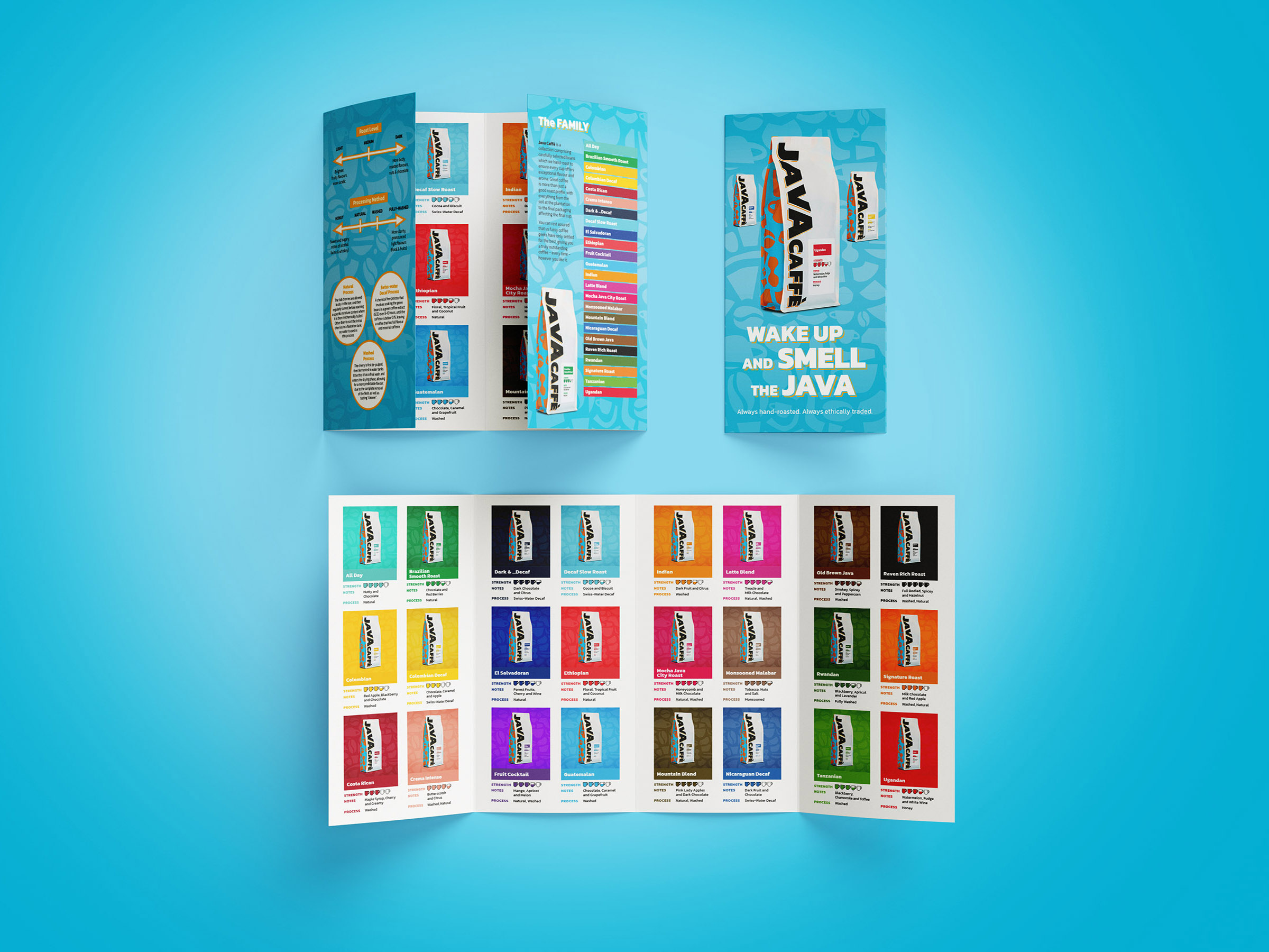 Double Gatefold DL Brochure